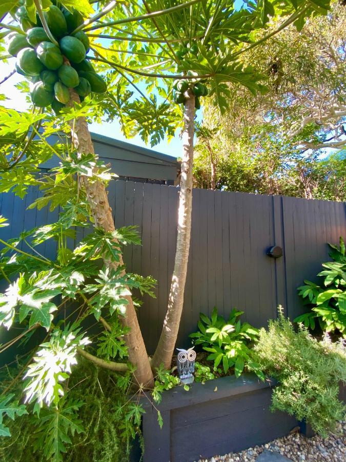The Mitchell Bondi Garden 4 Appartement Sydney Buitenkant foto